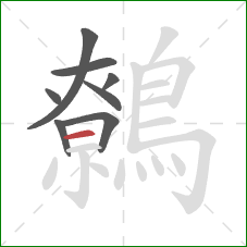 鷯的笔顺第8画:横 鷯的笔顺第8画:横