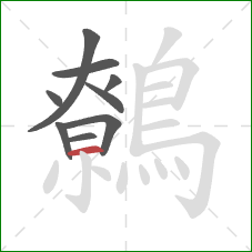 鷯的笔顺第9画:横 鷯的笔顺第9画:横