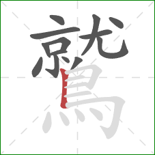 鷲的笔顺第14画:竖 鷲的笔顺第14画:竖