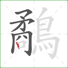 鷸的笔顺第10画:竖 鷸的笔顺第10画:竖