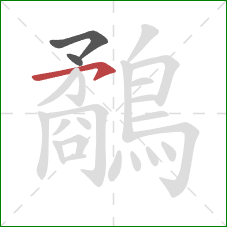 鷸的笔顺第3画:横钩 鷸的笔顺第3画:横钩