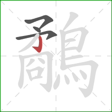 鷸的笔顺第4画:竖钩 鷸的笔顺第4画:竖钩