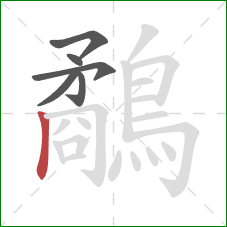 鷸的笔顺第6画:竖 鷸的笔顺第6画:竖
