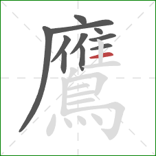 鷹的笔顺第11画:横 鷹的笔顺第11画:横