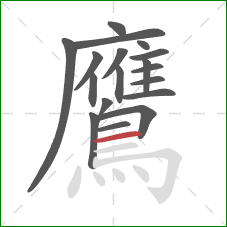 鷹的笔顺第18画:横 鷹的笔顺第18画:横