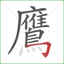 鷹的笔顺第20画:横折钩 鷹的笔顺第20画:横折钩