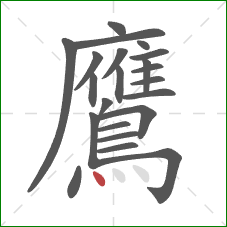 鷹的笔顺第22画:点 鷹的笔顺第22画:点