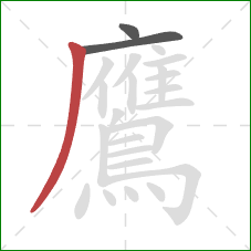 鷹的笔顺第3画:撇 鷹的笔顺第3画:撇