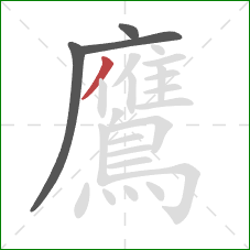 鷹的笔顺第4画:撇 鷹的笔顺第4画:撇