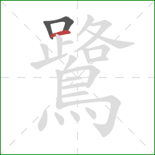 鷺的笔顺第3画:横 鷺的笔顺第3画:横
