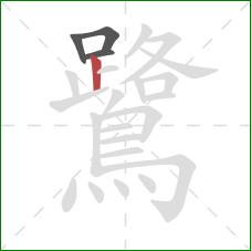 鷺的笔顺第4画:竖 鷺的笔顺第4画:竖