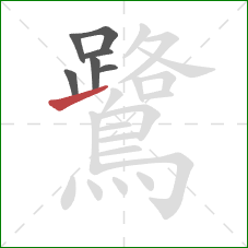 鷺的笔顺第7画:提 鷺的笔顺第7画:提