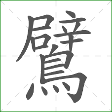 鷿的部首 鷿的部首