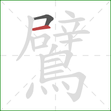 鷿的笔顺第2画:横 鷿的笔顺第2画:横