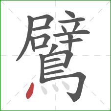 鷿的笔顺第21画:点 鷿的笔顺第21画:点
