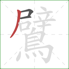 鷿的笔顺第3画:撇 鷿的笔顺第3画:撇