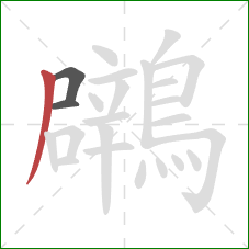 鸊的笔顺第3画：撇