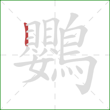 鸚的笔顺第1画：竖