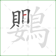鸚的笔顺第10画：横