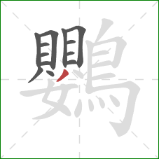 鸚的笔顺第13画：撇