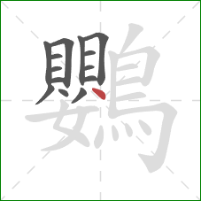 鸚的笔顺第14画：点