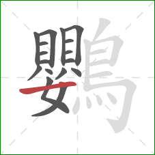 鸚的笔顺第17画：横