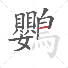 鸚的笔顺第22画：横