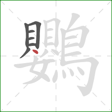 鸚的笔顺第7画：点