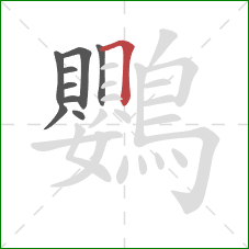 鸚的笔顺第9画：横折