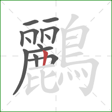 鸝的笔顺第14画：竖