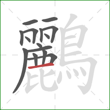 鸝的笔顺第15画：横