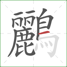 鸝的笔顺第25画：横