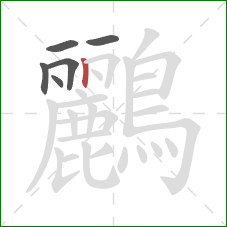 鸝的笔顺第6画：竖