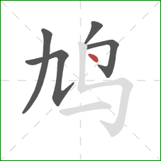 鸠的笔顺第5画:点 鸠的笔顺第5画:点