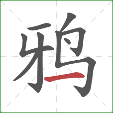 鸦的笔顺第9画：横