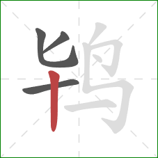 鸨的笔顺第4画：竖