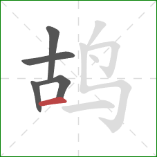 鸪的笔顺第5画：横