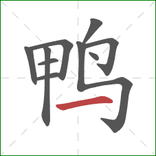 鸭的笔顺第10画:横 鸭的笔顺第10画:横