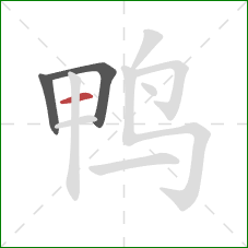 鸭的笔顺第3画:横 鸭的笔顺第3画:横