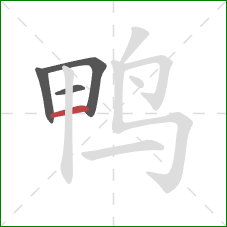 鸭的笔顺第4画:横 鸭的笔顺第4画:横