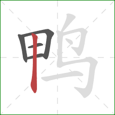 鸭的笔顺第5画:竖 鸭的笔顺第5画:竖