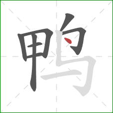 鸭的笔顺第8画:点 鸭的笔顺第8画:点