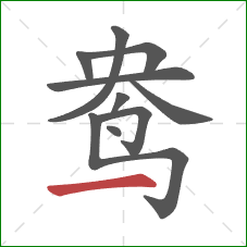 鸯的笔顺第10画:横 鸯的笔顺第10画:横