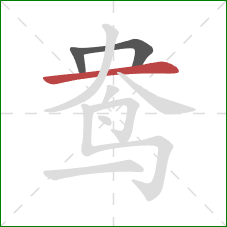 鸯的笔顺第3画:横 鸯的笔顺第3画:横