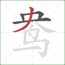 鸯的笔顺第4画:撇 鸯的笔顺第4画:撇