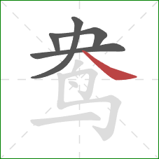 鸯的笔顺第5画:捺 鸯的笔顺第5画:捺