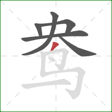 鸯的笔顺第6画:撇 鸯的笔顺第6画:撇