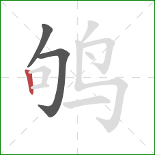 鸲的笔顺第3画：竖