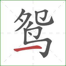 鸳的笔顺第10画：横