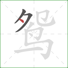 鸳的笔顺第3画：点